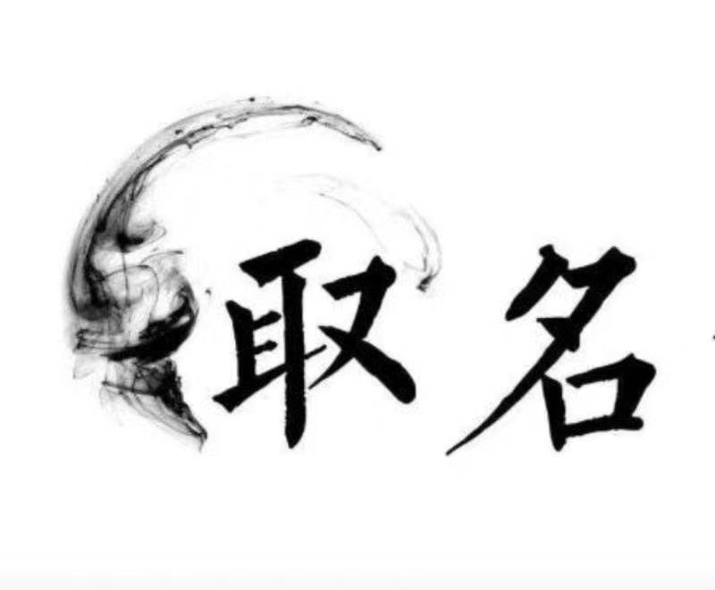  临沧宝宝取名 大师一对一人工起名